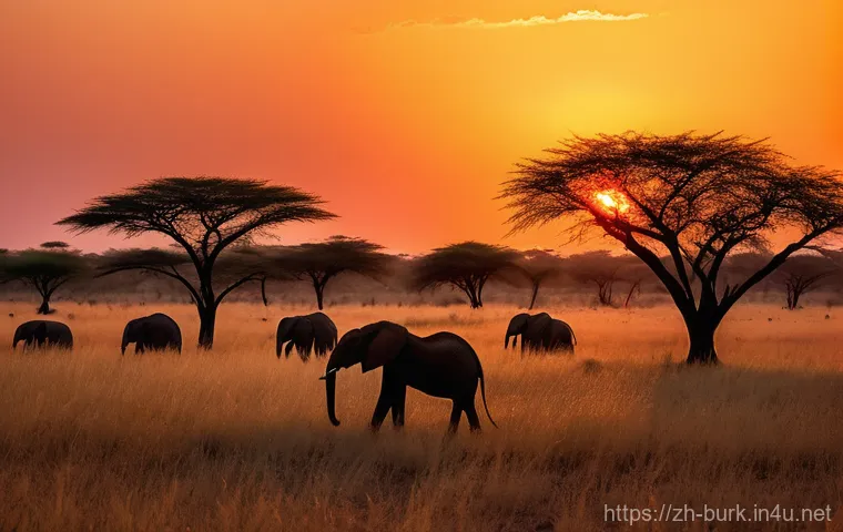 부르키나파소 자연환경 및 생태 관광 - A panoramic view of the vast, untouched tropical savanna in Burkina Faso at sunset. The sky is a vib...